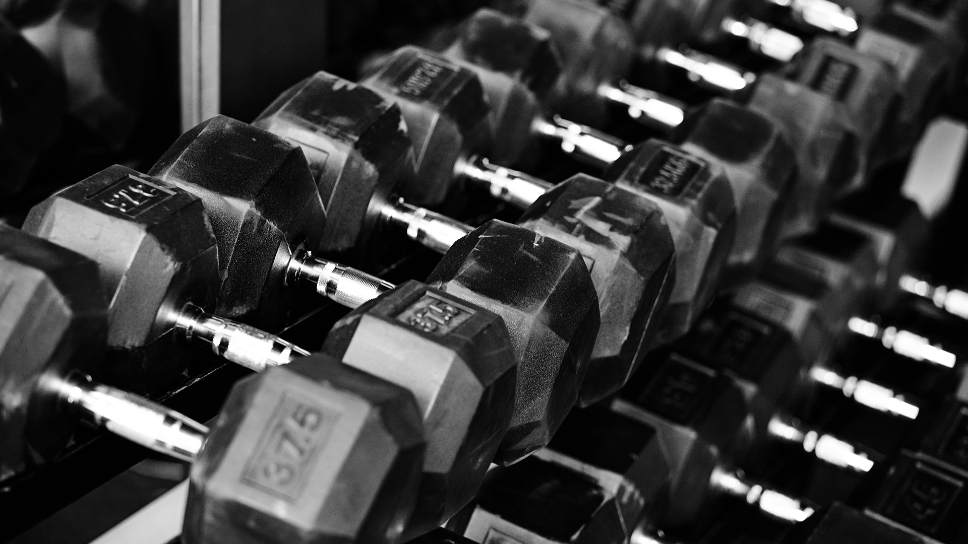 Gym Equipment